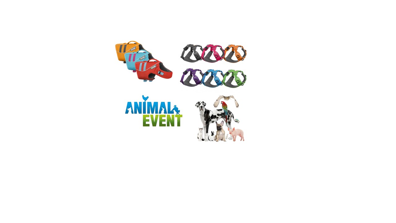 Animal Event 2019