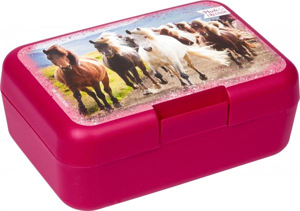 Lunchbox_horse_friend
