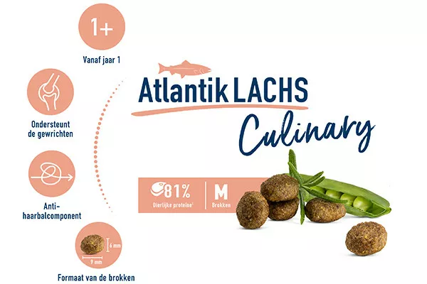 Happy_Cat_Adult_Culinary_AtlantikLachs_1